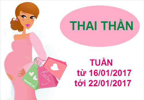 Xem ngày tốt xấu đón lành tránh dữ cho thai phụ: Tuần từ 16 - 22/01/2017