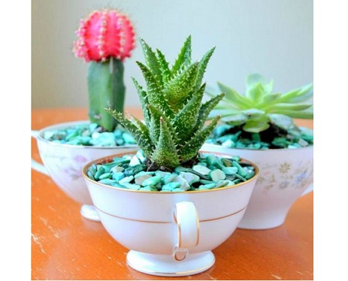 Nhận diện phong thủy tốt bằng chính bản thân mình