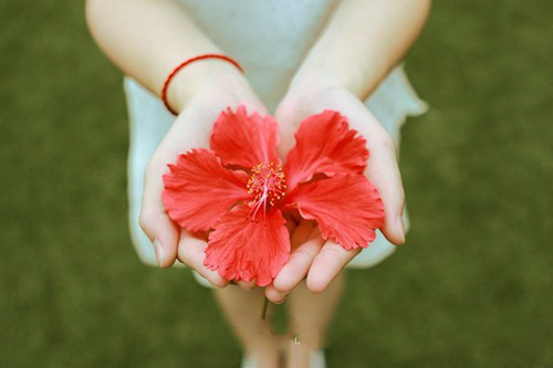 Tử vi thứ Năm của 12 cung hoàng đạo (24/03/2016)