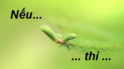 Cuộc sống này sẽ thực sự hạnh phúc hơn nếu bớt đi vài chữ Nếu...