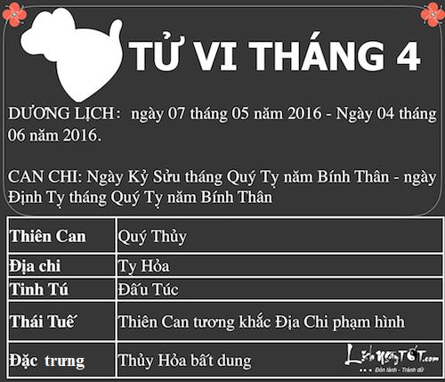 Xem tử vi tháng Tư âm lịch năm Bính Thân của người tuổi Hợi