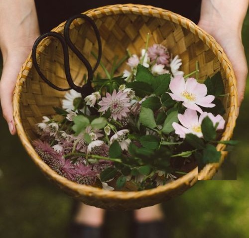 Tử vi Thứ 4 của 12 cung hoàng đạo (20/04/2016)