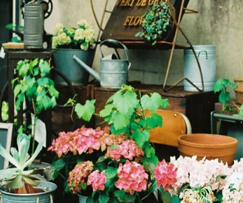 Tử vi Thứ 5 của 12 cung hoàng đạo (21/04/2016)