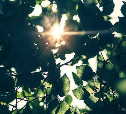 Tử vi Thứ 7 của 12 cung hoàng đạo (23/04/2016)