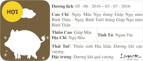 Xem tử vi tháng Năm âm lịch 2016 của người tuổi Hợi