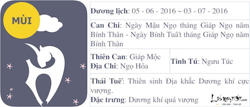 Xem tử vi tháng Năm âm lịch của người tuổi Mùi