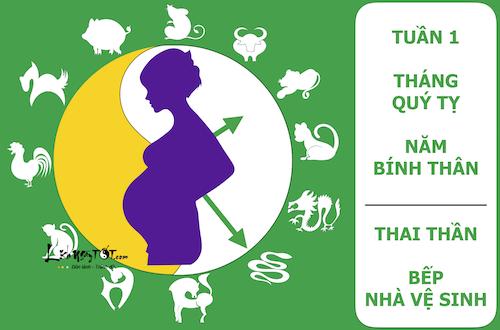 Xem ngày tốt xấu đón lành tránh dữ cho thai phụ: Tuần từ 30/5-5/6/2016