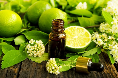 Hương tinh dầu dành riêng cho 12 chòm sao
