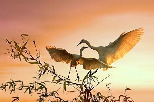 Bàn về chữ duyên, hiểu thêm nhân sinh