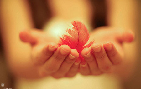 9 phát ngôn của bậc thầy phong thủy làm lay động lòng người