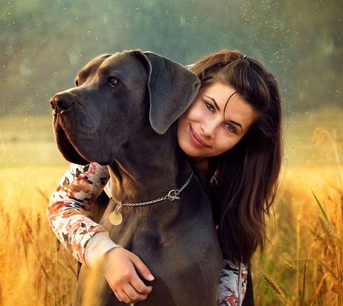 Tuần mới của 12 cung hoàng đạo (15/08 - 21/08/2016)