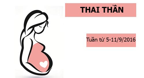 Xem ngày tốt xấu đón lành tránh dữ cho thai phụ: Tuần từ 5-11/9/2016