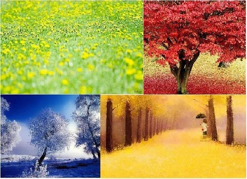 Kết hợp tứ trụ và tiết khí trong xem tử vi luận đoán số mệnh