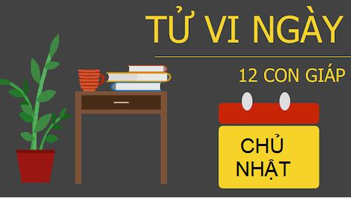 Tử vi Chủ Nhật ngày 22/1/2017 của 12 con giáp