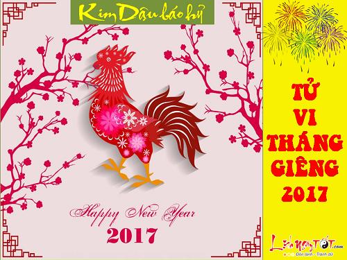 Tử vi tháng 1 âm lịch năm 2017 của người tuổi Hợi