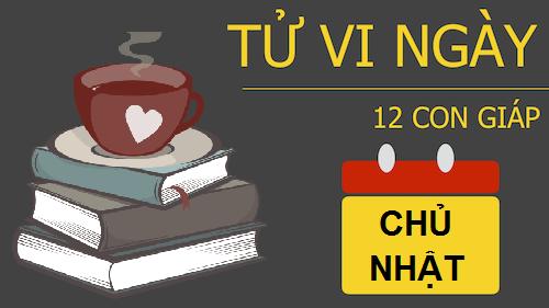 Tử vi Chủ Nhật ngày 15/1/2017 của 12 con giáp