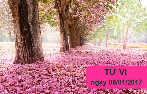 Tử vi thứ 2 ngày 9/1/2017 của 12 cung hoàng đạo