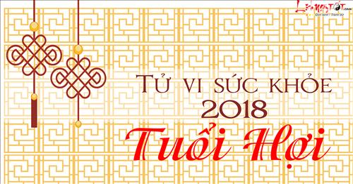 Tiên đoán tử vi sức khỏe tuổi Hợi năm Mậu Tuất 2018