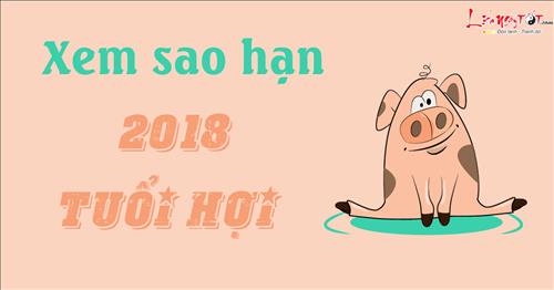 Xem sao hạn năm 2018 cho tuổi Hợi: Kỷ Hợi, Tân Hợi, Quý Hợi, Ất Hợi, Đinh Hợi