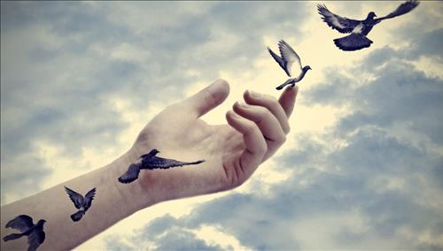Tử vi thứ 6 ngày 27/10/2017 của 12 con giáp