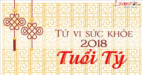 Tiên đoán tử vi sức khỏe của người tuổi Tý năm Mậu Tuất 2018