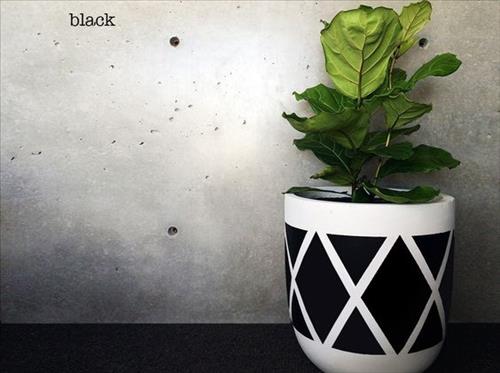 Người tuổi Thìn trồng cây gì cho hợp mệnh?