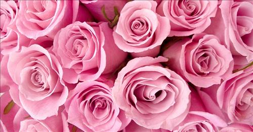 Tử vi Thứ 2 ngày 6/11/2017 của 12 cung hoàng đạo