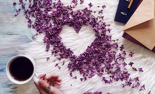 Tử vi Thứ 5 ngày 30/11/2017 của 12 con giáp