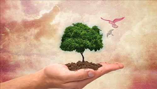 Tử vi tuần mới từ 4 – 10/12/2017 của 12 con giáp