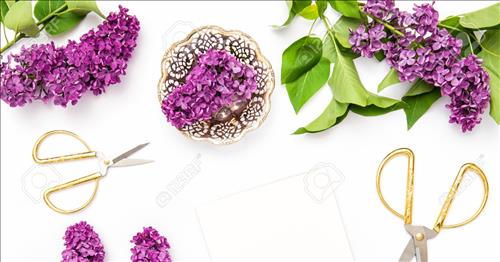 Tử vi Thứ 5 ngày 16/11/2017 của 12 con giáp