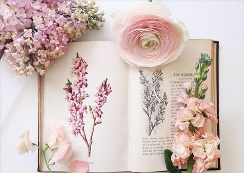 DỪNG lại những điều này sẽ thấy may mắn ghé thăm!