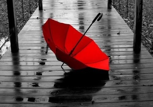 Tử vi thứ 6 ngày 29/12/2017 của 12 cung hoàng đạo