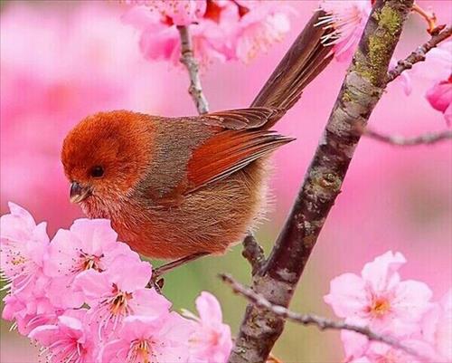 Tử vi Thứ 2 ngày 1/1/2018 của 12 cung hoàng đạo