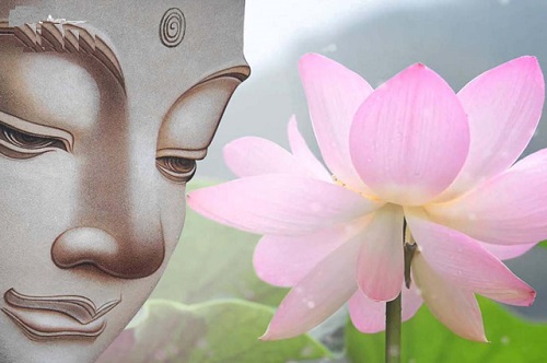 Vì sao Đức Phật, Bồ Tát ngồi trên hoa sen mà không phải loài hoa khác?