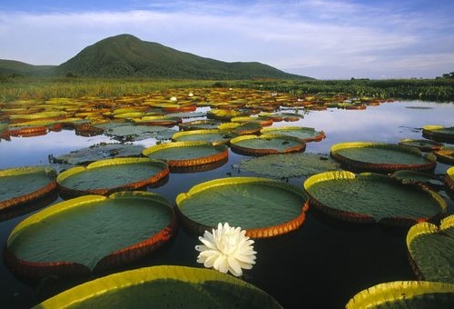 Tử vi Chủ nhật ngày 28/5/2017 của 12 con giáp