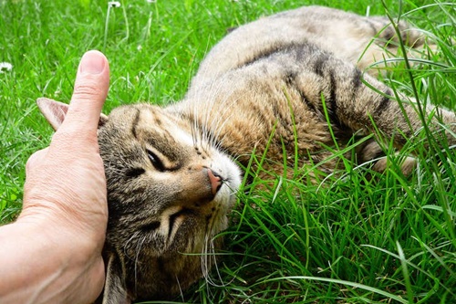 Tử vi ngày 16/6/2017 thứ 6 của 12 cung hoàng đạo