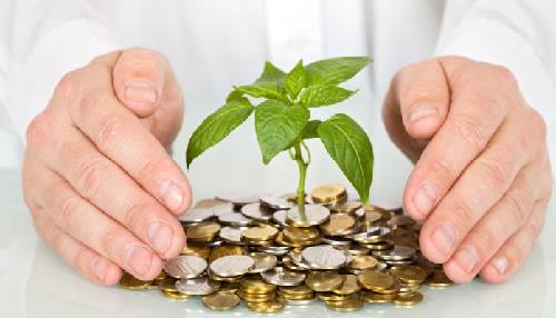 Top 3 con giáp hè này tiền đổ về ào ào như mưa rào mùa hạ