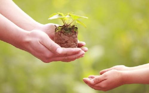 Tử vi thứ 4 ngày 28/6/2017 của 12 con giáp