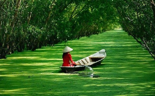Tử vi Chủ nhật ngày 11/6/2017 của 12 con giáp