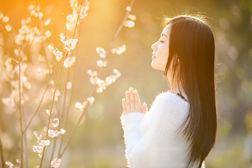 3 nguyên tắc cơ bản của Phật giáo giúp tu 3 giờ hiệu quả như 3 năm