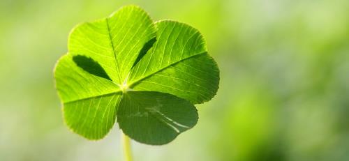 4 con giáp gặp nhiều may mắn bất ngờ nửa cuối năm 2017