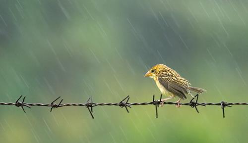 Tử vi thứ 2 ngày 24/7/2017 của 12 con giáp