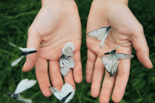 Tư duy như một chiến binh để bạn sống ý nghĩa mỗi ngày
