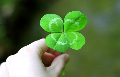 3 con giáp may mắn gặp hung hóa cát nửa cuối tháng 8/2017