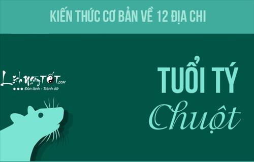 Infographic: Kiến thức cơ bản 12 địa chi - Người tuổi Tý