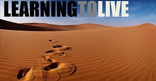 Những bài học cuộc sống đi ngược với lẽ thường của xã hội