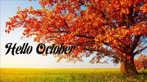 Tử vi tháng 10/2017 của 12 cung hoàng đạo: Xử Nữ khởi sắc, Bọ Cạp tình duyên như ý