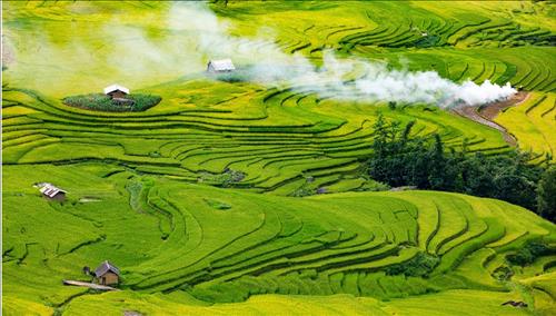 Tử vi thứ 4 ngày 4/10/2017 của 12 con giáp