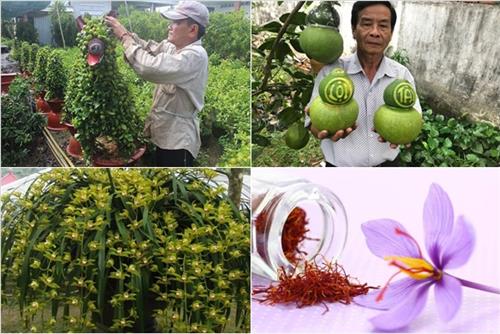 Độc đáo và đa dạng như quà Tết 2018