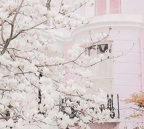 Tử vi tháng 2/2018 của 12 cung hoàng đạo: Kim Ngưu đương đầu thách thức, Ma Kết vượt lên chính mình